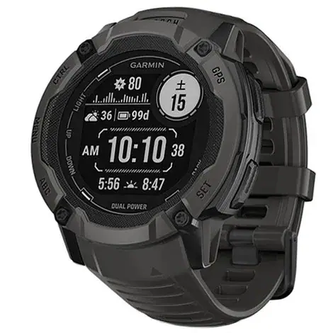 Instinct 2X Dual Power 010-02805-22 グラファイトの商品画像