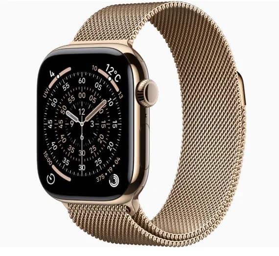 Apple Watch Series11 42mm GPS+Cellular チタニウムケース/ミラネーゼループの商品画像