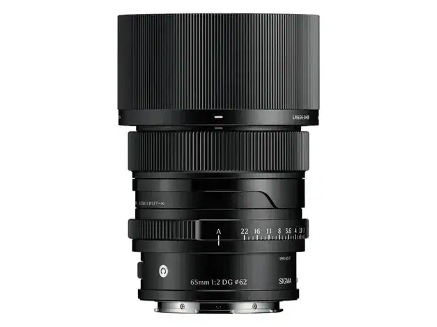 65mm F2 DG ソニーE用の商品画像