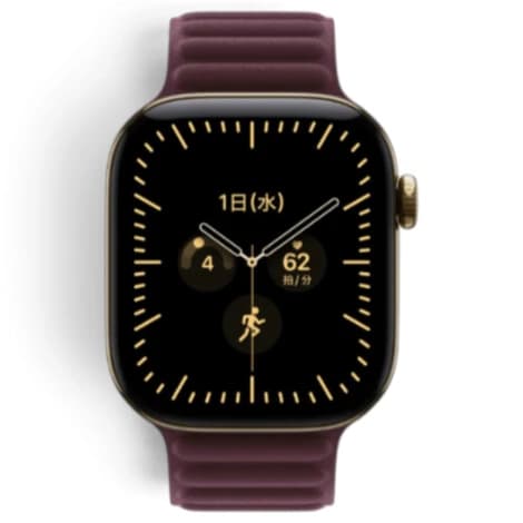 Apple Watch Series12 42mm GPS+Cellular チタニウムケース/マグネティックリンクの商品画像