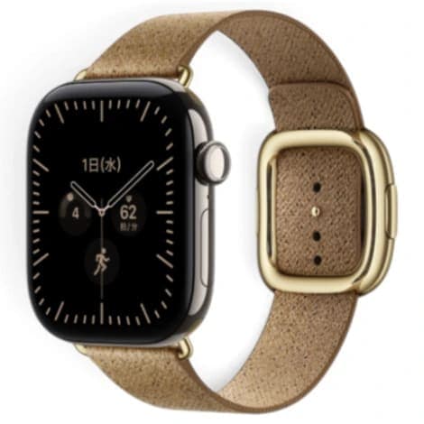 Apple Watch Series12 42mm GPS+Cellular チタニウムケース/モダンバックルの商品画像
