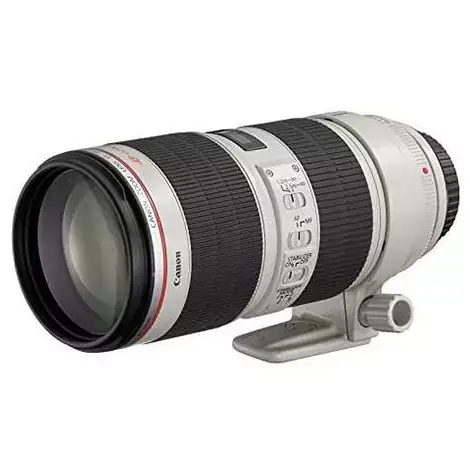 EF70-200mm F2.8L IS II USMの商品画像