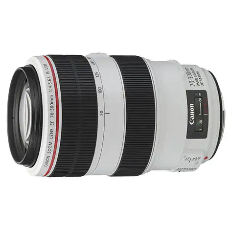キヤノンEF70-300mm F4-5.6L IS USMの商品画像