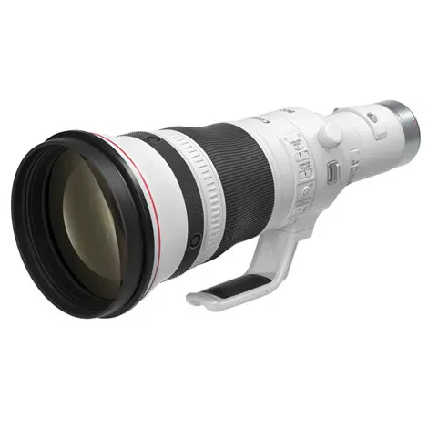 RF800mm F5.6L IS USMの商品画像