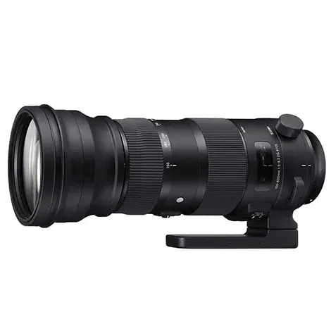 150-600mm F5-6.3 DG OS HSM Sports ニコン用の商品画像