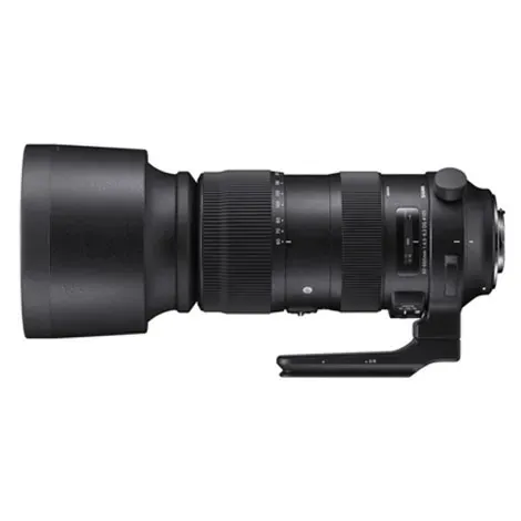 60-600mm F4.5-6.3 DG OS HSM Sports ニコン用の商品画像