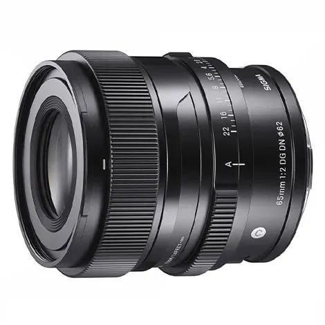 65mm F2 DG DN Contemporary ソニーE用の商品画像